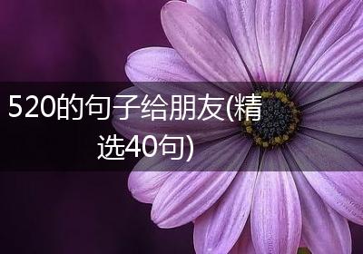 520的句子给朋友(精选40句)