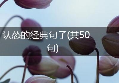 认怂的经典句子(共50句)