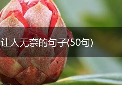 让人无奈的句子(50句)