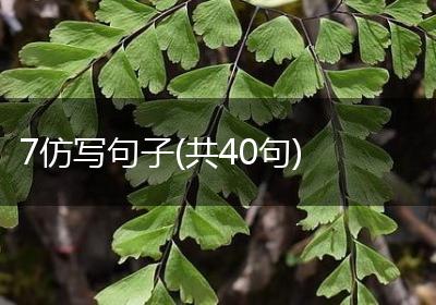 7仿写句子(共40句)
