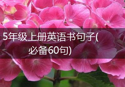 5年级上册英语书句子(必备60句)