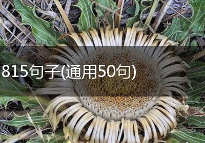 815句子(通用50句)
