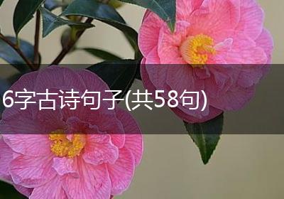 6字古诗句子(共58句)