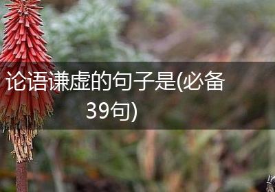 论语谦虚的句子是(必备39句)