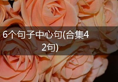 6个句子中心句(合集42句)