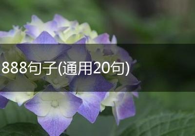 888句子(通用20句)
