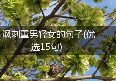 讽刺重男轻女的句子(优选15句)