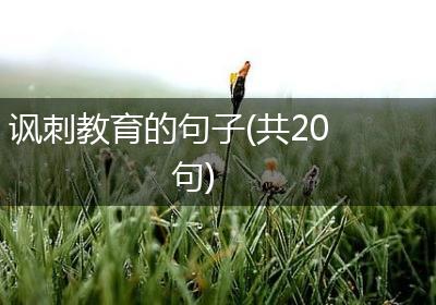 讽刺教育的句子(共20句)