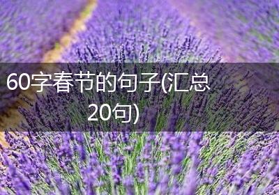 60字春节的句子(汇总20句)