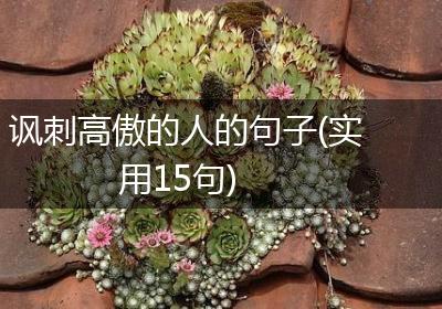 讽刺高傲的人的句子(实用15句)