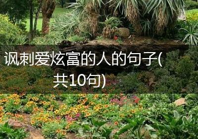 讽刺爱炫富的人的句子(共10句)