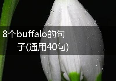 8个buffalo的句子(通用40句)