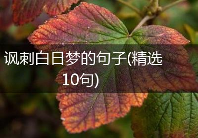 讽刺白日梦的句子(精选10句)