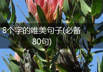 8个字的唯美句子(必备80句)