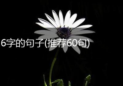 6字的句子(推荐60句)