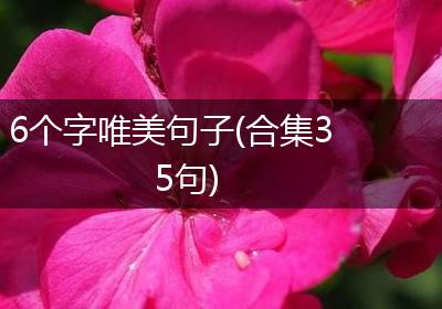 6个字唯美句子(合集35句)