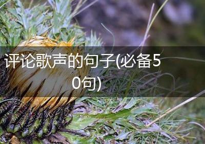 评论歌声的句子(必备50句)
