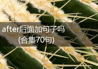 after后面加句子吗(合集70句)