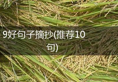 9好句子摘抄(推荐10句)