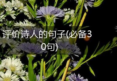 评价诗人的句子(必备30句)