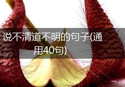 说不清道不明的句子(通用40句)