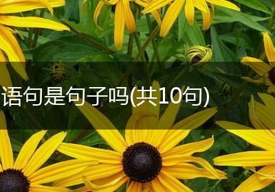 语句是句子吗(共10句)