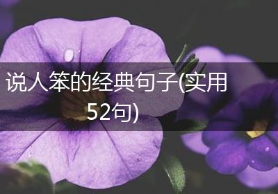 说人笨的经典句子(实用52句)