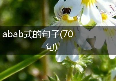 abab式的句子(70句)