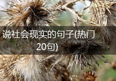 说社会现实的句子(热门20句)
