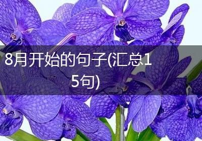 8月开始的句子(汇总15句)