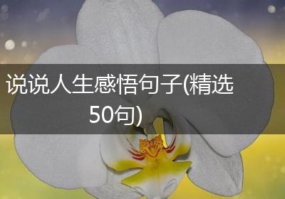 说说人生感悟句子(精选50句)