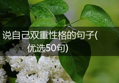 说自己双重性格的句子(优选50句)