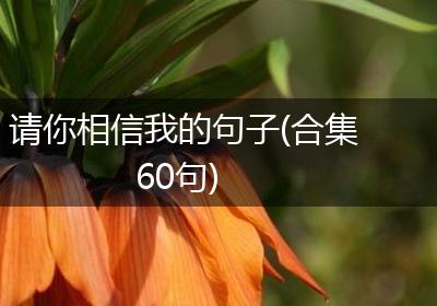 请你相信我的句子(合集60句)