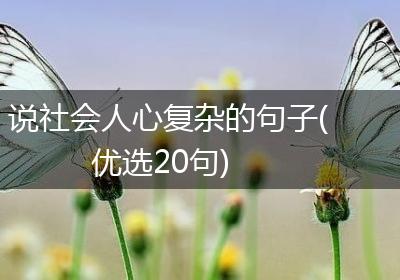 说社会人心复杂的句子(优选20句)