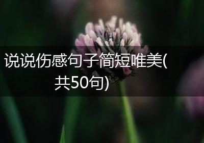 说说伤感句子简短唯美(共50句)