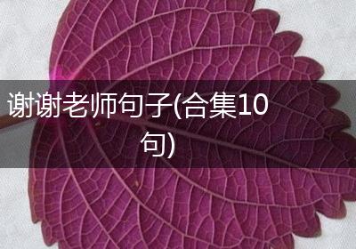 谢谢老师句子(合集10句)