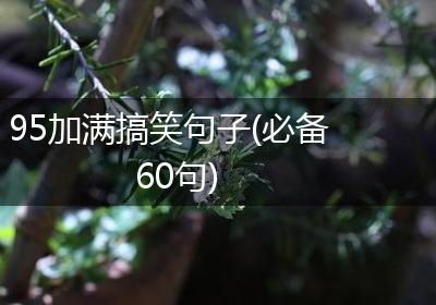 95加满搞笑句子(必备60句)