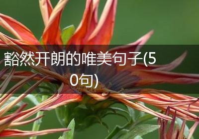 豁然开朗的唯美句子(50句)