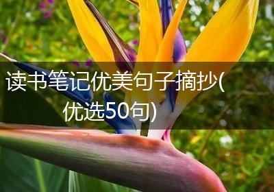 读书笔记优美句子摘抄(优选50句)