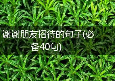 谢谢朋友招待的句子(必备40句)