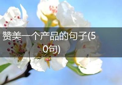 赞美一个产品的句子(50句)