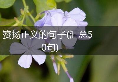 赞扬正义的句子(汇总50句)