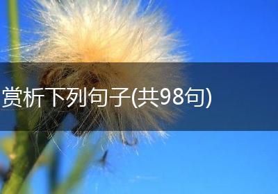 赏析下列句子(共98句)