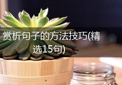 赏析句子的方法技巧(精选15句)