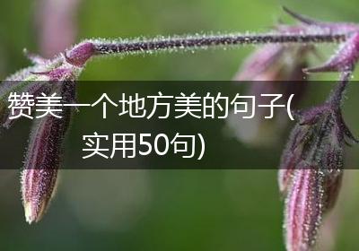 赞美一个地方美的句子(实用50句)