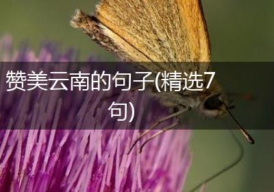 赞美云南的句子(精选7句)