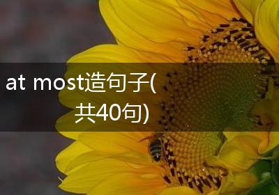 at most造句子(共40句)