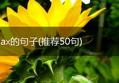 ax的句子(推荐50句)