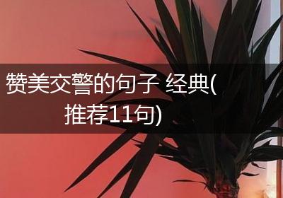 赞美交警的句子 经典(推荐11句)