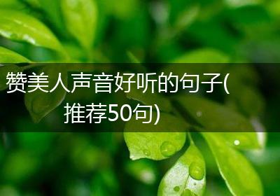赞美人声音好听的句子(推荐50句)